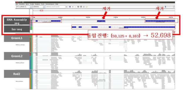 대표 유전자 선발 과정