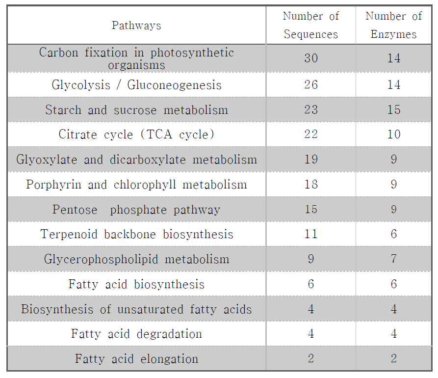 KEGG 분석으로 annotation 된 gene과 pathway 정보