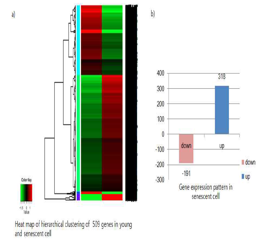 log2 (Fold change) >6 데이터의 Heat map (a)과 up or down expression pattern (b)