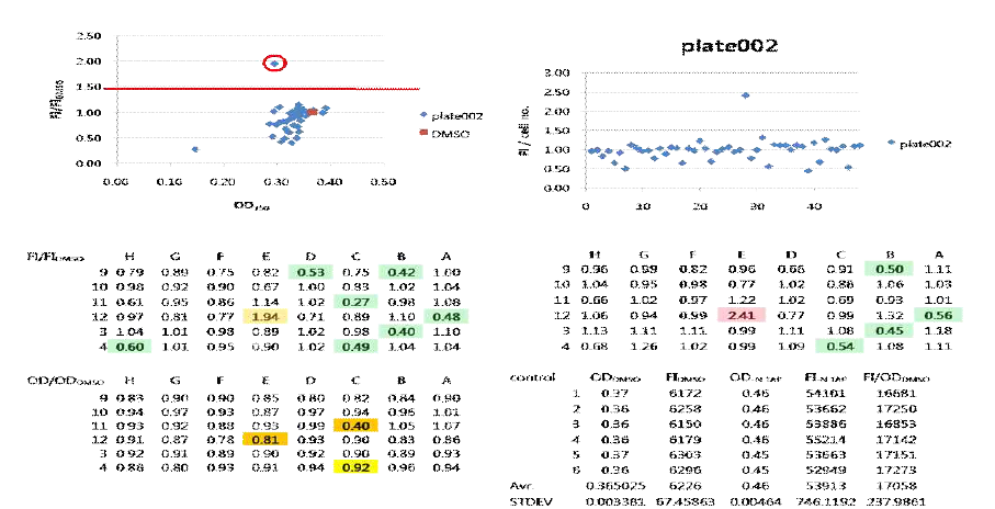 Chemical screening 선별 과정. 각 well에서의 cell density 및 Nile red 형광 값을 음성 대조군을 1로 하여 그 상댓값을 도출하였다. FI/FIDMSO가 1.4 이상인 화합물질들을 선별하였다. 현재 10,000개의 chemical library중에서 6,480개의 library에 대해서 선별을 완료하였으며, 9개의 후보군을 선별하였다