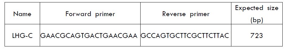 Ettlia genome circle 확인용 primer