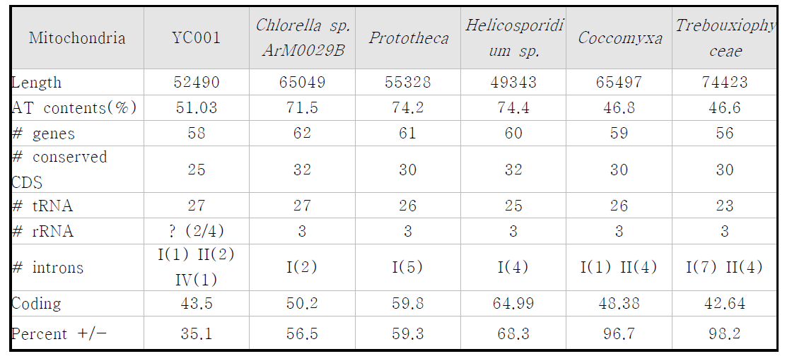 Ettlia 와 다른 미세조류 mitochondria genome 특성 비교