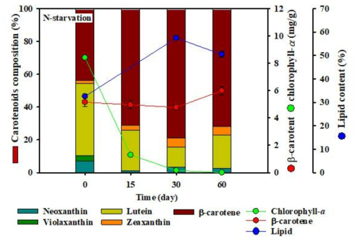 질소 결핍 조건에 따른 카로테노이드 색소체 조성 변화 및 지질 함량 변화