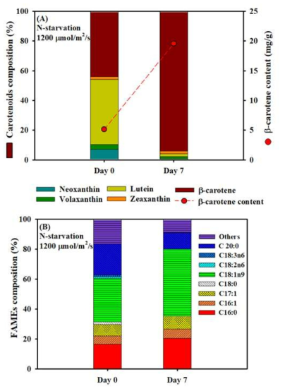 질소 고갈 및 고 광도 double-stress에 따른 Ettlia sp. 내 카로테노이드 조성 변화(A) 및 FAMEs 조성 변화(B)