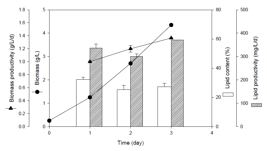 Green cultivation 배양의 바이오매스 및 지질 생산성 결과 그래프