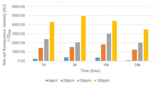 Tunicamycin 농도와 시간에 따른 Nile red fluorescence intensity