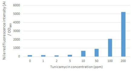 Tunicamycin 처리 16시간 후 농도에 따른 Nile red fluorescence intensity