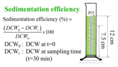 Ettlia sp. 침전 효율 계산 공식