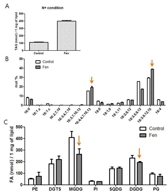 Fenpropimorph를 처리하여 변화한 Chlamydomonas의 TAG, phospholipids. Fenpropimorph는 곰팡이의 스테롤 합성을 억제하여 농업 및 산업 분야에서 곰팡이 약으로 사용되고 있는 화합물이다. (A) Fenpropimorph 처리한 Chlamydomonas는 대조구에 비해 4배 정도의 TAG를 축적했다. (B) Fenpropimorph 처리에 의해 축적된 TAG의 지방산 조성을 분석한 결과, 16:4(4,7,10,13)과 18:3(9,12,15)이 대조구보다 증가하였는데 이는 엽록체의 MGDG/DGDG를 주로 구성하는 fatty acid로서, fenpropimoprh에 의하여 합성되는 TAG가 thylakoid membrane에서 유래하였음을 알 수 있었다. (C) Fenpropimoprh를 처리한 Chlamydomonas의 phospholipid를 분석한 결과 Chlamydomonas의 대표적 당지질인 MGDG와 DGDG의 양이 대조군 실험에 비하여 감소한 것을 확인했다