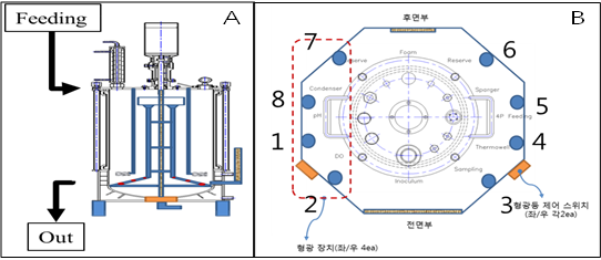 14 L의 연속배양 용 광생물반응기 (A)와 광원의 위치 (B)의 모식도