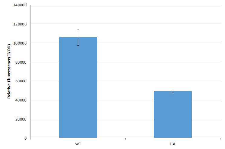 야생종 (WT) 과 돌연변이 (E3L) 의 nile red assay. 질소 결핍 조건 3일 처리한 야생종 (WT)과 돌연변이 (E3L) 의 nile red 형광 값을 흡광도(OD)로 비교 정량 했을 때 돌연변이체에서 약 50% 감소하였다