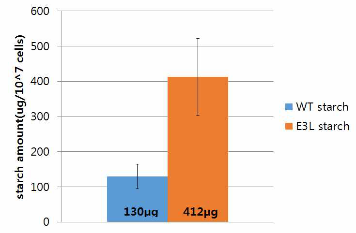 야생종 (WT) 과 E3L의 starch 양 비교. 보통 조건에서 1주일 간 키운 야생종과 돌연변이체에서 starch를 추출해 starch assay kit (Abcam)를 이용해 그 양을 측정하였다. 돌연변이체는 야생종 대비 세 배의 starch를 축적하고 있다