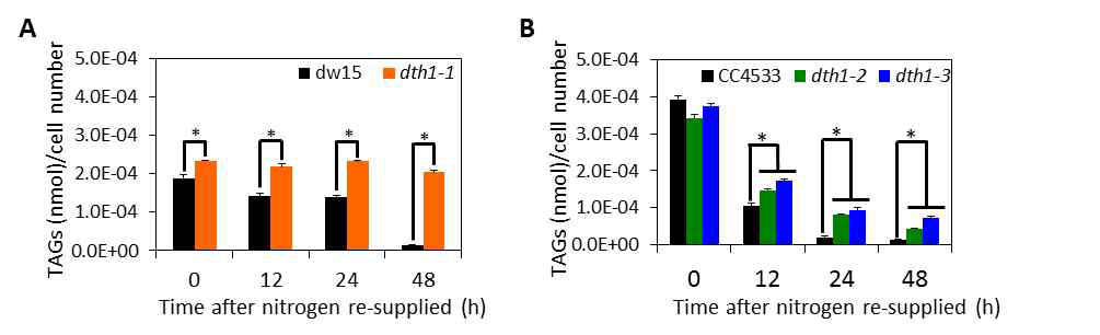 crdth1 돌연변이체의 TAG 함량 분석 (A) 야생종 (dw15)와 돌연변이체 dth1-1의 TAG 함량 분석 결과 (B) 야생종 (CC4533)와 돌연변이체 dth1-2, dth1-3의 TAG 함량 분석 결과