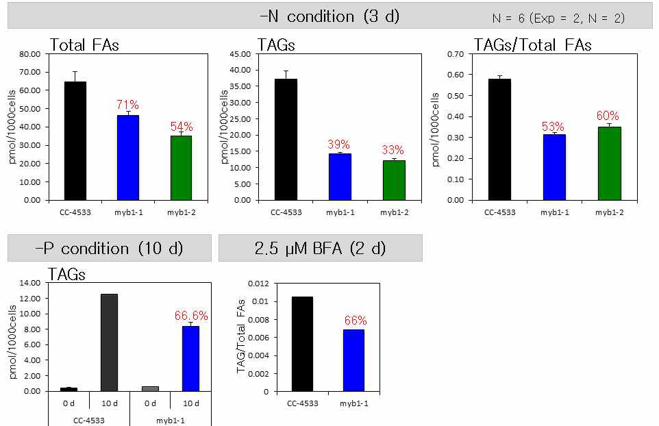 다양한 스트레스 조건에서 myb1 돌연변이체의 반응와 지질 축적 감소 표현형 관찰. 야생종 (CC-4533) 과 myb1-1 돌연변이체에서 스트레스 조건 (질소 결핍조건, 인 결핍조건, 소포체 스트레스 조건) 에서 축적하는 전체 지방산과 TAG의 양을 측정함