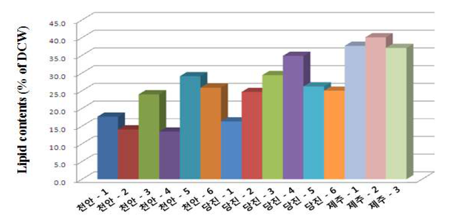 1차년도 선별된 총 15주의 총 지질 함량 분석