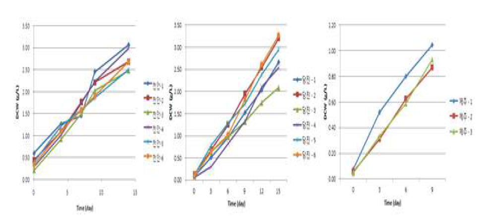 1차년도 선별된 미세조류(천안 6, 당진 6, 제주 3)의 생장곡선