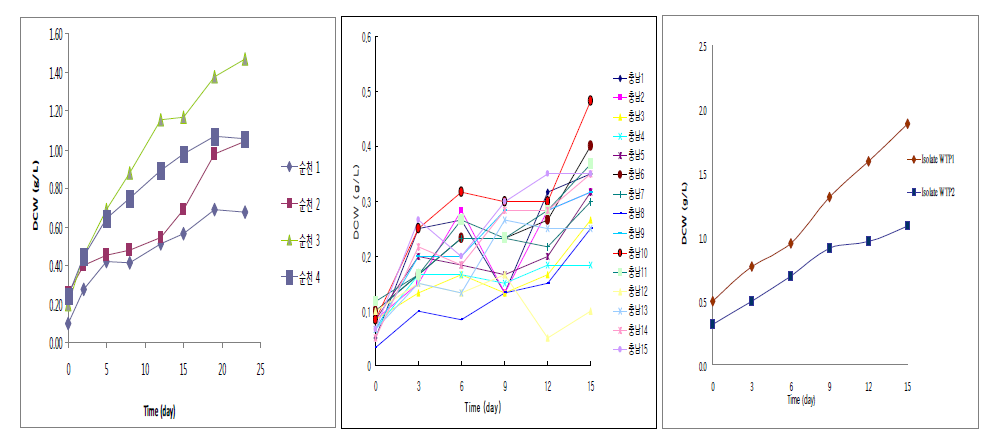 2차년도 선별된 미세조류(순천 4, 충남 15, 하수처리장 2)의 생장곡선