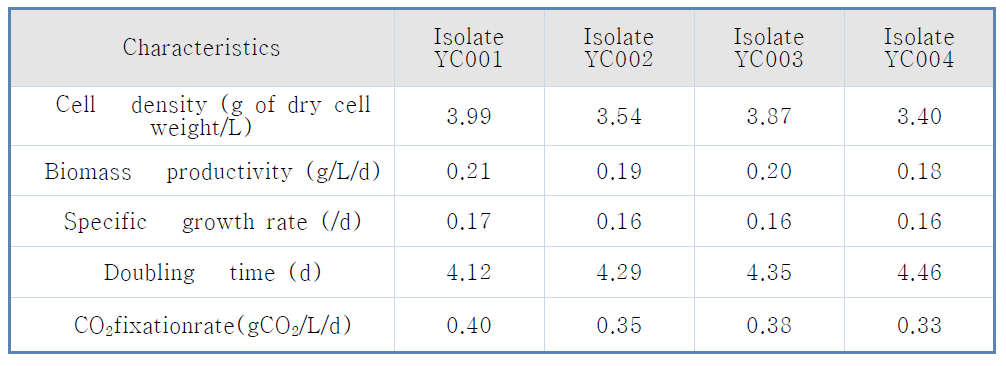 10% 이산화탄소 조건에서 배양된 4종의 분리균주 생장 특성