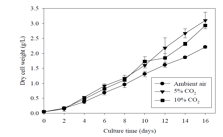 공기 및 5%, 10% CO2 공급으로 배양된 Ettlia sp. 생장곡선