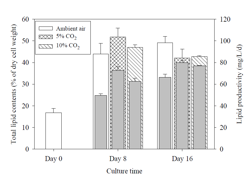 다양한 농도의 이산화탄소를 공급한 조건에서 Ettlia sp. YC001의 지질함량 및 지질생산성