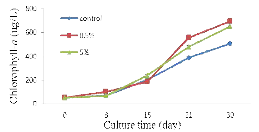 혼합배양 후 배양 시간에 따른 chlorophyll-a 변화