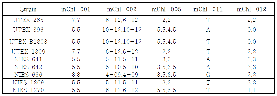 1단계 연구에서 개발된 microsatellite 마커의 combined genotype