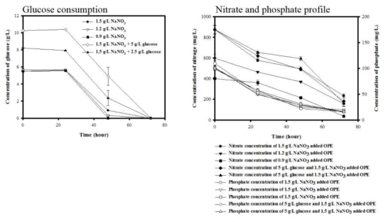 Time course of glucose, nitrate and phosphate consumption under various concentration of NaNO3. 3번 반복하여 standard error를 에러바로 만들었음