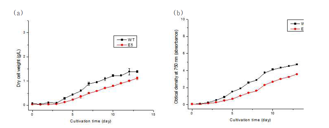 50 μE m-2 s-1에서 배양 시 (a) DCW 및 (b) 750 nm 에서의 흡광도 변화 곡선