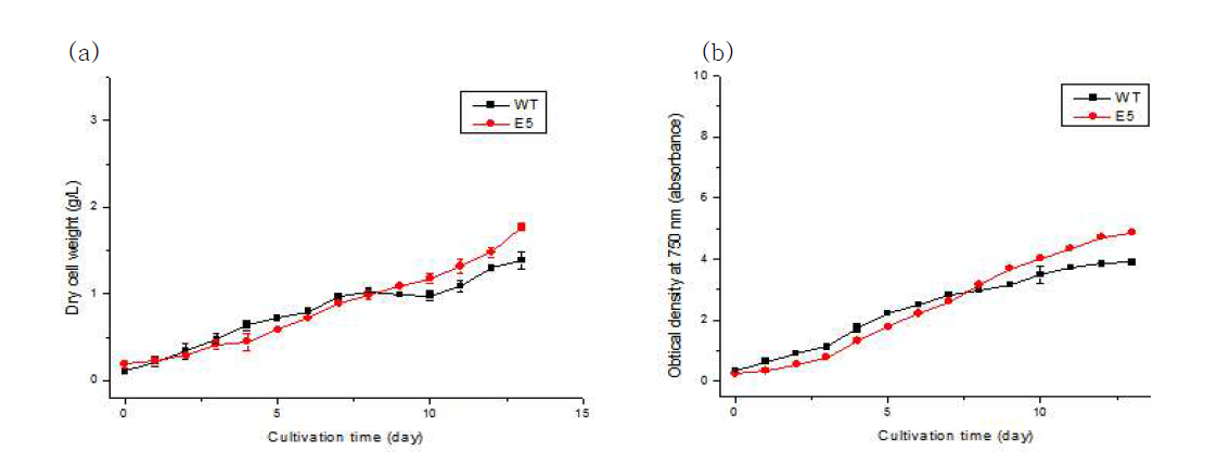 50 μE m-2 s-1에서 배양 시 (a) DCW 및 (b) 750 nm 에서의 흡광도 변화 곡선