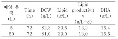 배양기별 생산량 결과