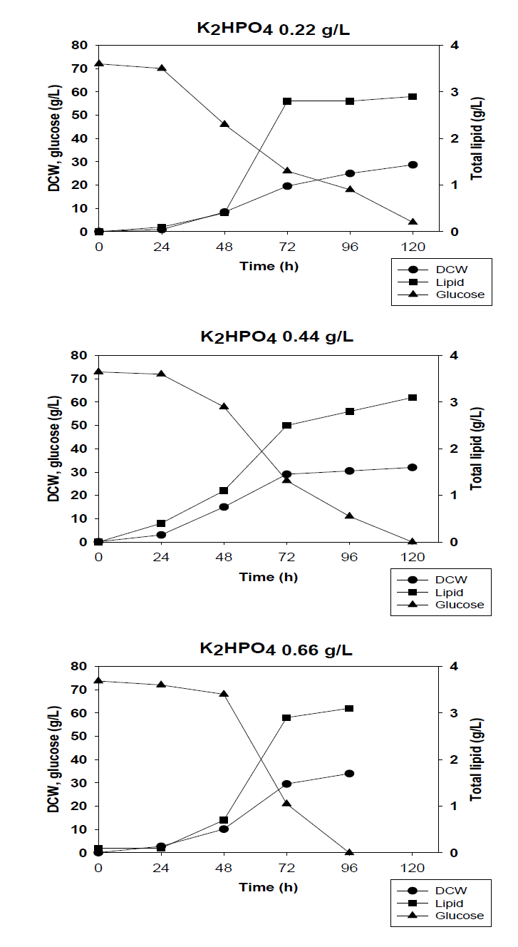 K2HPO4 농도에 따른 Chlorella sp. HS2 균주의 회분식 배양