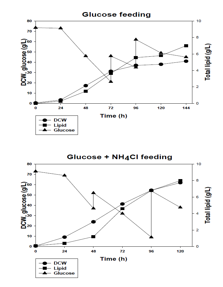 질소원 공급에 따른 Chlorella sp. HS2 균주의 유가식 배양