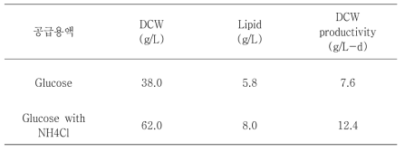 질소원 공급에 따른 Chlorella sp. HS2 균주의 유가식 배양 120시간 결과 비교