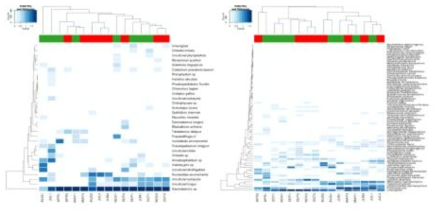 2017년 ORWs 18S rRNA(좌), 16S rRNA(우) 메타지놈 분석 기반 heatmap 분석