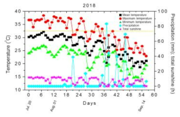 작물의 생육기간(7월 20일부터 9월 20일)동안 환경 변화(온도 변화, 일조량 및 강수량) 분석