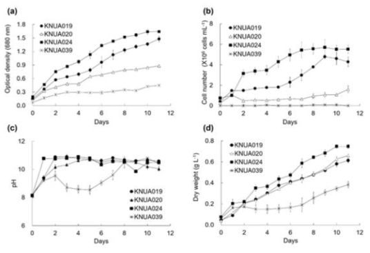 선별된 미세조류 균주의 폐수에서의 성장률. Optical density (a), cell count (b), pH (c), dry weight (d)