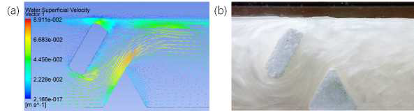 (a) Fluid velocity profile with CFX, (b) Flow visualization with rheoscopic fluid in the raceway pond with type 1