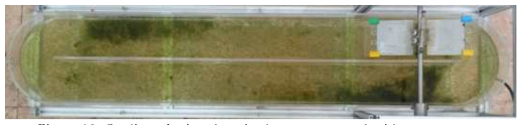 Settling of microalgae in the raceway pond without structures