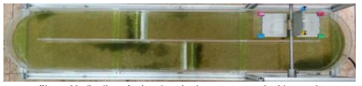 Settling of microalgae in the raceway pond with type 1