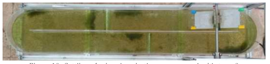 Settling of microalgae in the raceway pond with type 2