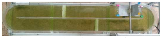 Settling of microalgae in the raceway pond with type 3