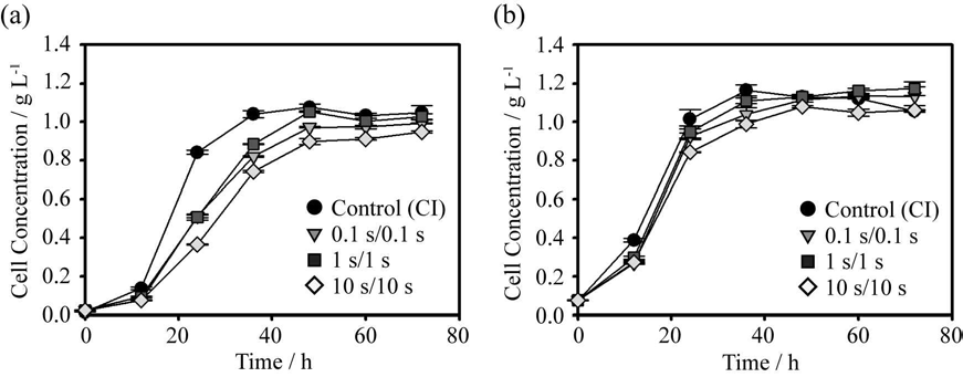 섬광조사 하에서 (a) 낮은 초기 접종농도(0.02 g/L) 및 (b) 높은 초기 접종농도 (0.07 g/L)가 미세조류 성장에 미치는 영향