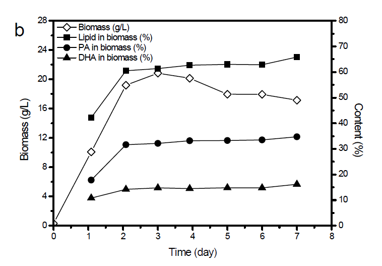 글루코즈만 투입한 fed-batch 배양의 7일 간 바이오매스와 지질, PA, DHA 함량 변화