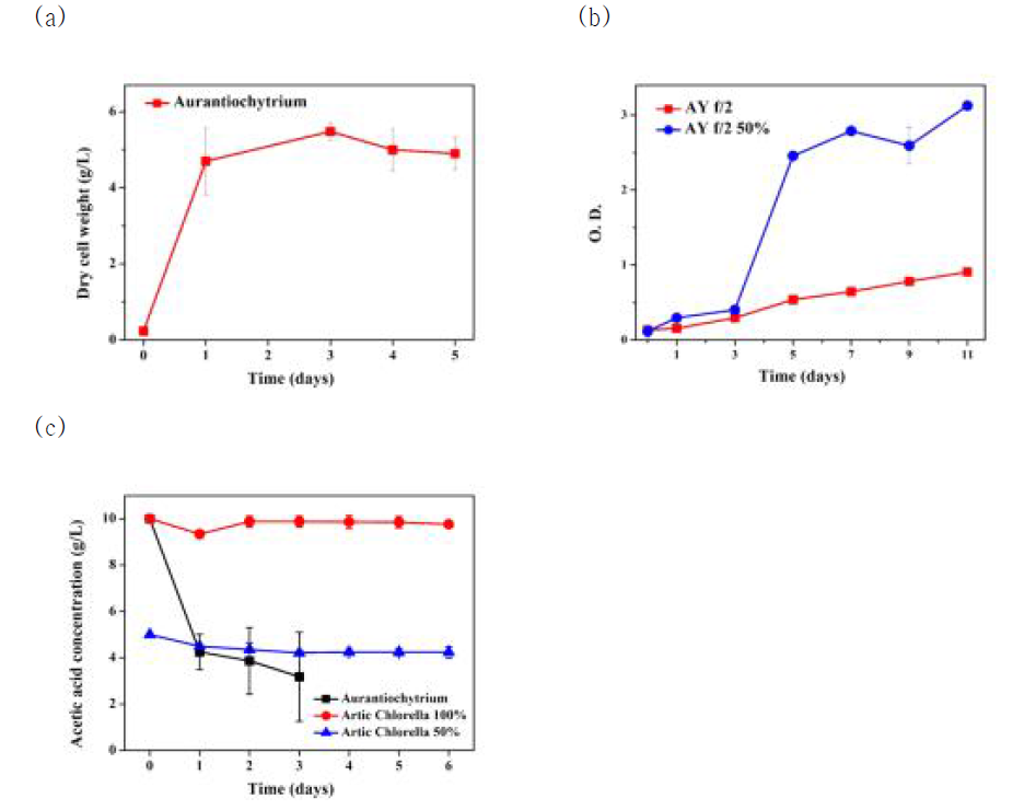 AY f/2 배지에서 Aurantiochytrium와 Artic Chlorella의 성장 및 시간에 따른 초산의 농도 변화