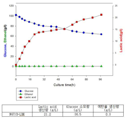 Lactic acid 생산량 분석