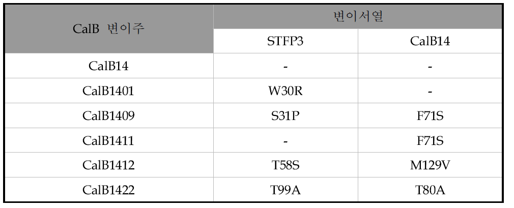 각 형질전환체들의 리파제 활성 분석