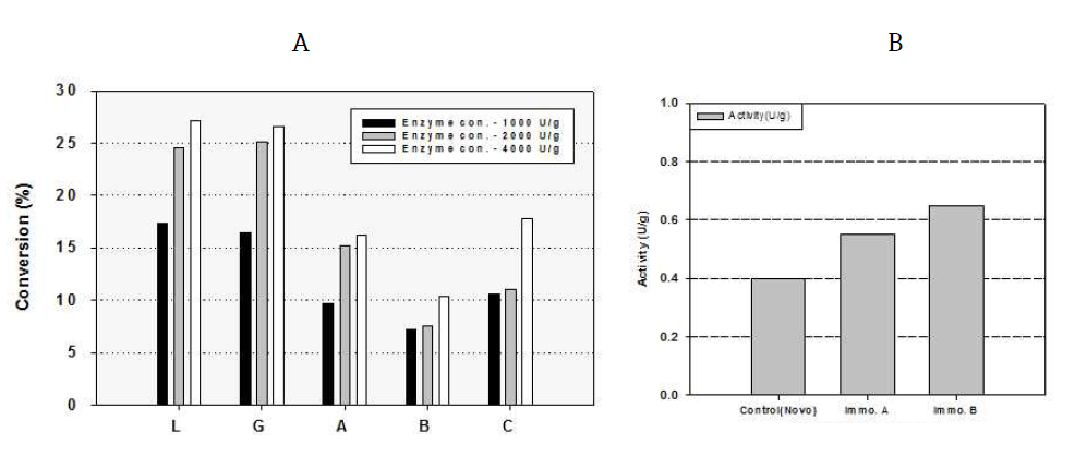 효소농도가 고정화 효소의 활성에 미치는 영향(A), L 레진에 고정화된 효소의 활성 비교(B)