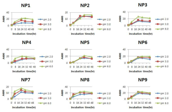분리균주의 pH에 따른 성장곡선