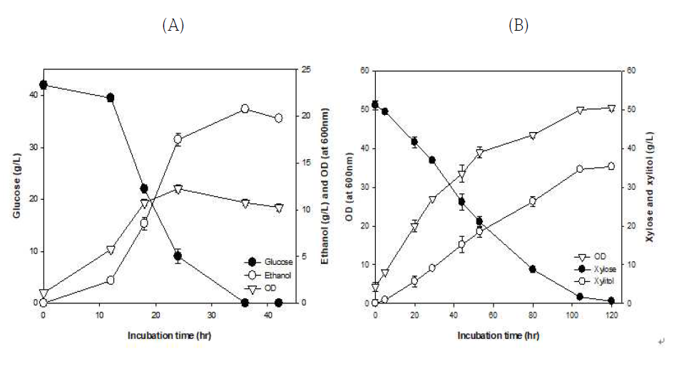 효모 PG 의 탄소원별 발효배양 (A: glucose, B: xylose )