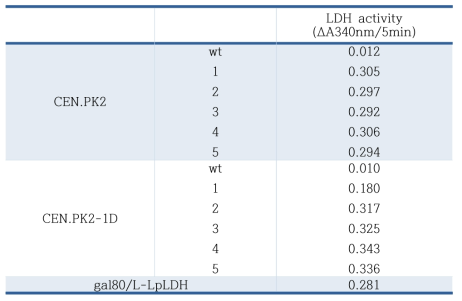 D-LDH 단백질의 활성분석